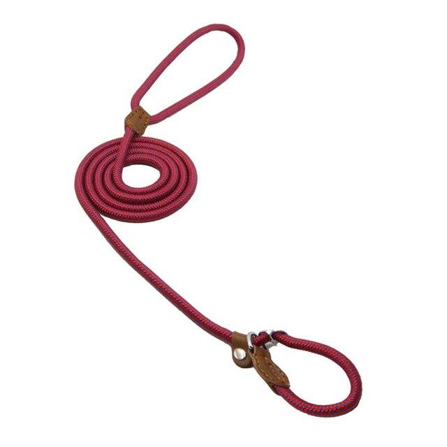 Everyday Collar and Lead Set