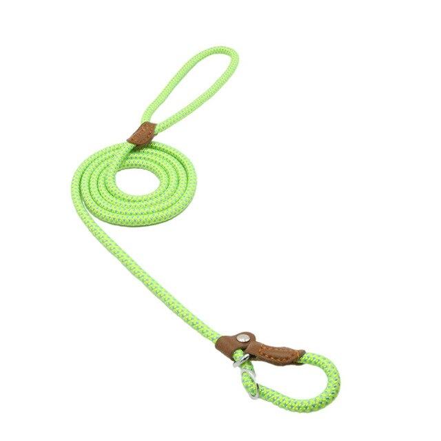 Everyday Collar and Lead Set
