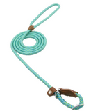 Everyday Collar and Lead Set