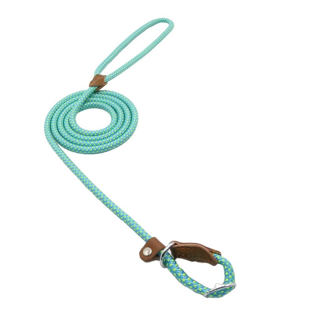 Everyday Collar and Lead Set