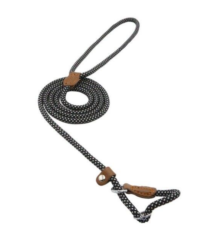 Everyday Collar and Lead Set