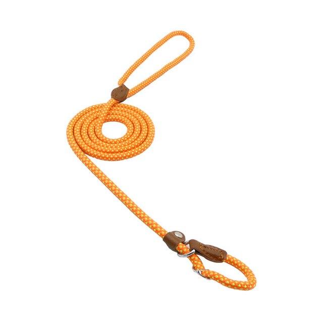 Everyday Collar and Lead Set