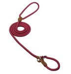 Everyday Collar and Lead Set