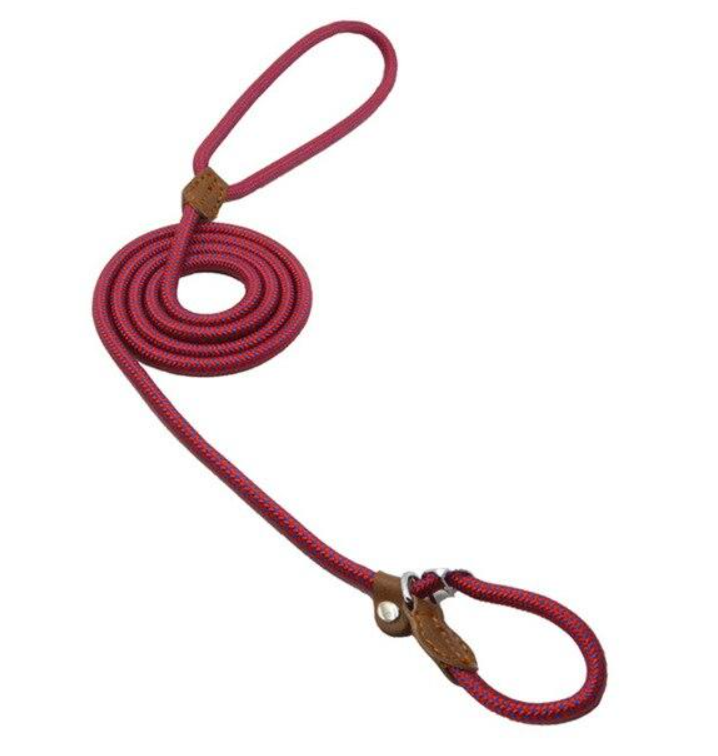 Everyday Collar and Lead Set