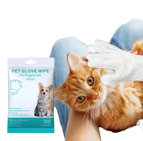 Everyday Grooming Wipes and Gloves