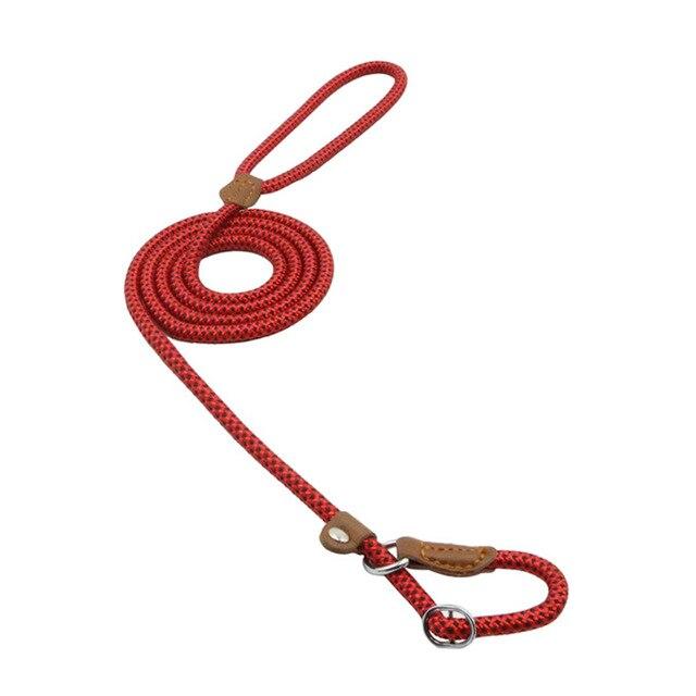 Everyday Collar and Lead Set