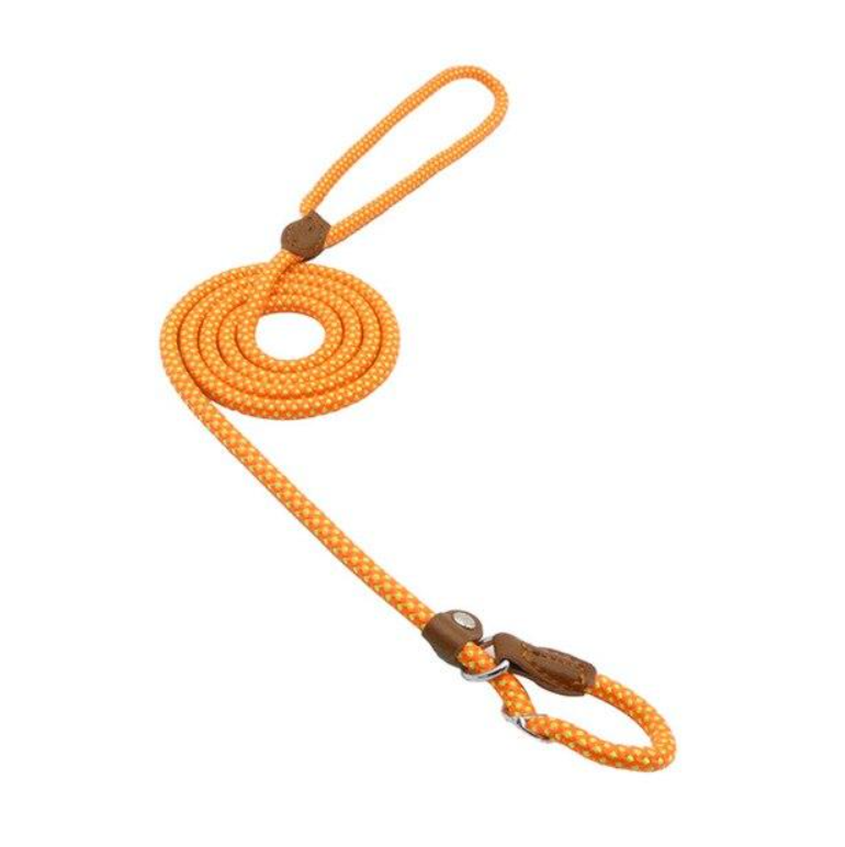 Everyday Collar and Lead Set