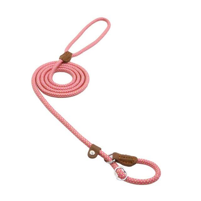 Everyday Collar and Lead Set