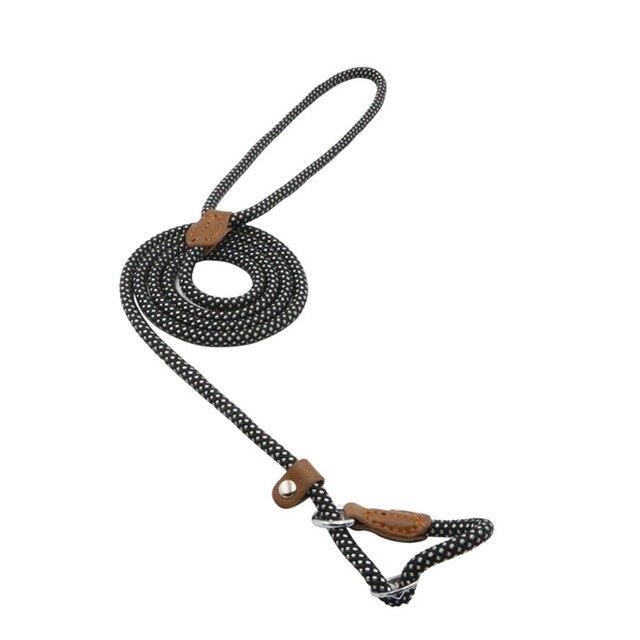 Everyday Collar and Lead Set