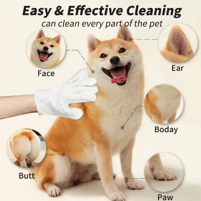 Everyday Grooming Wipes and Gloves